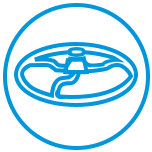 feature-icon