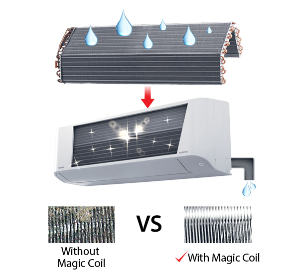 Double Cleaning Prevent Mold from Developing