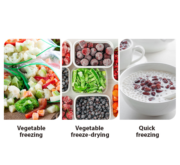 Quick-freezing Food Storage Chamber: 3 Types of Freezing Function 