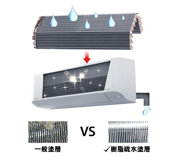 雙重清潔 防止霉菌滋生