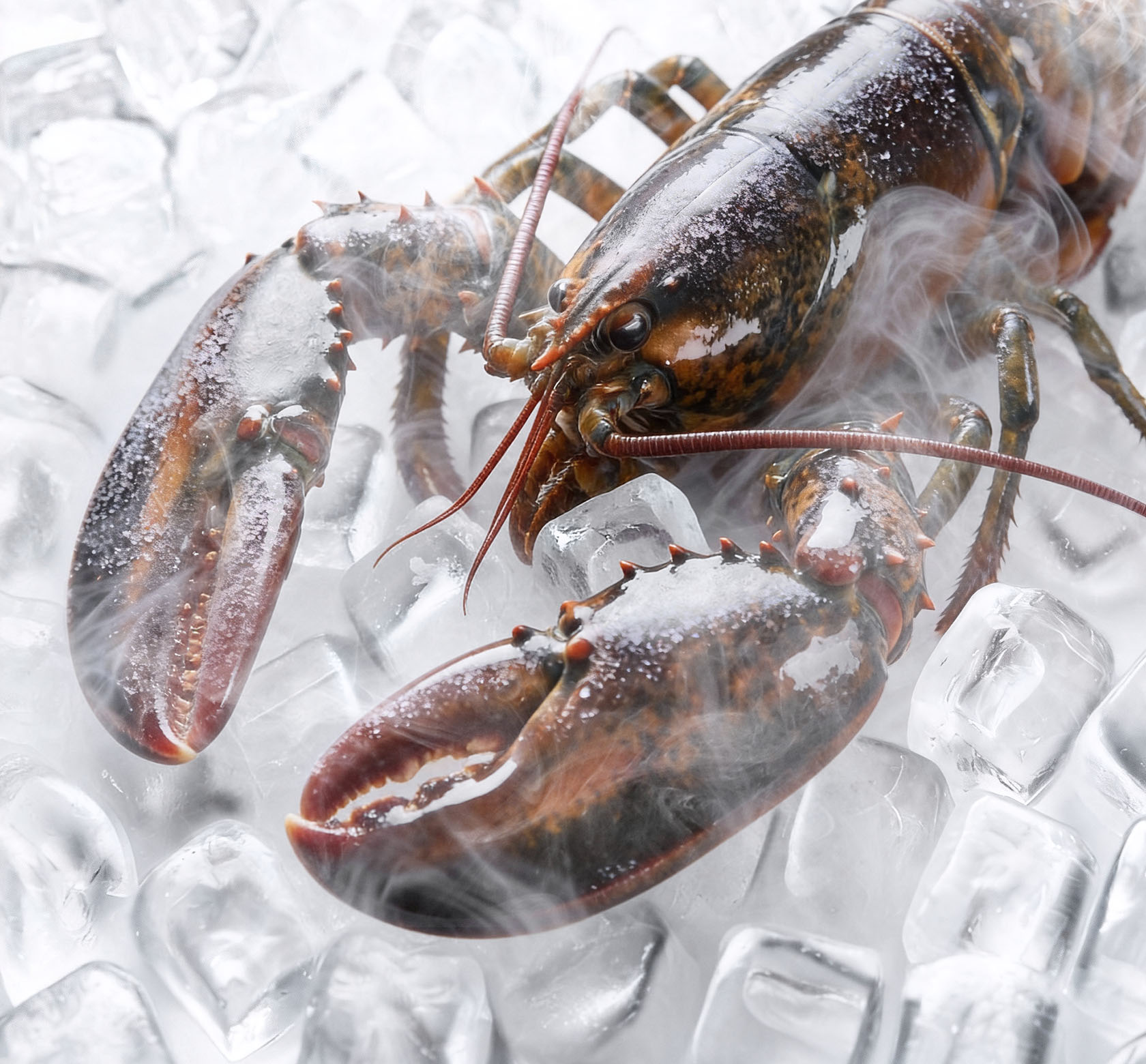 OriginFRESH™ 原鮮系統 - -30℃ Deep Freeze 