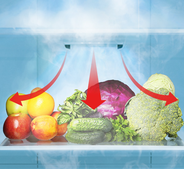 1-door Direct Cooling Fridge 
