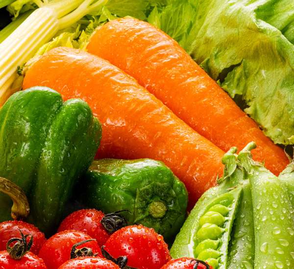 Vegetable Compartment 