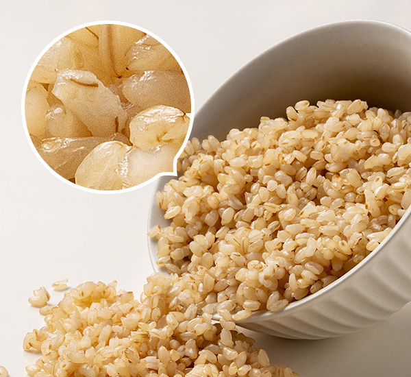 Nutrient-rich Gaba Brown Rice