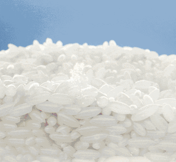 Enzyme Activation Technology