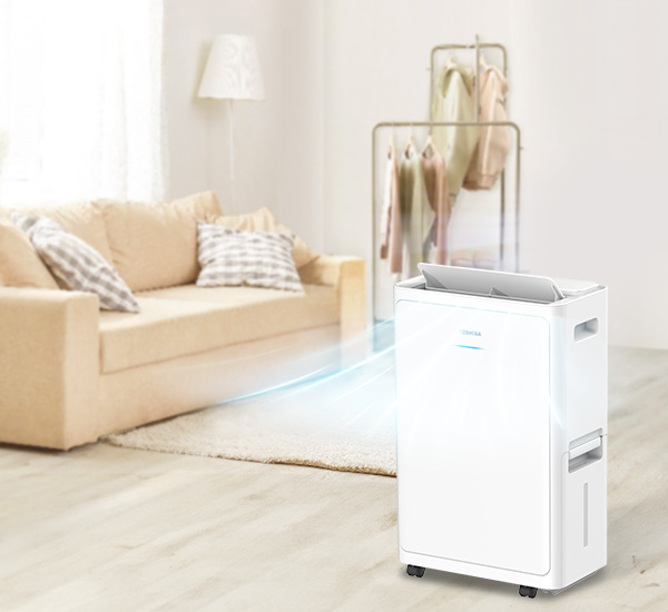 4 Dehumidifying Modes