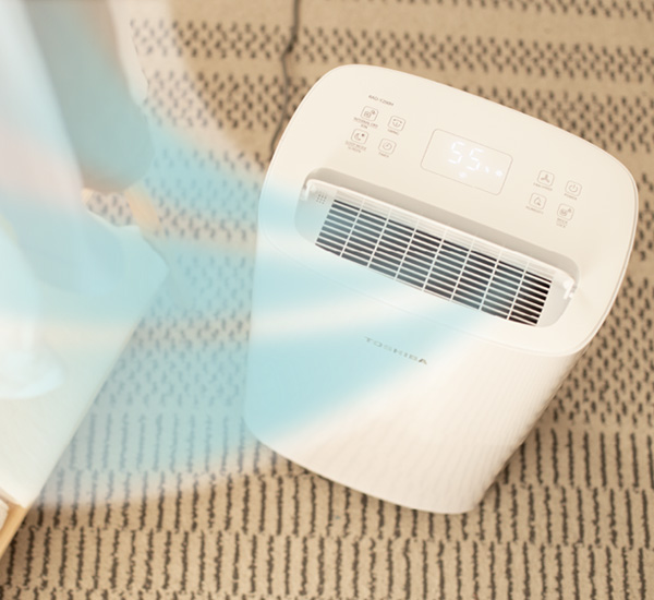 Lasting Dehumidifying, Quick Laundry Dry