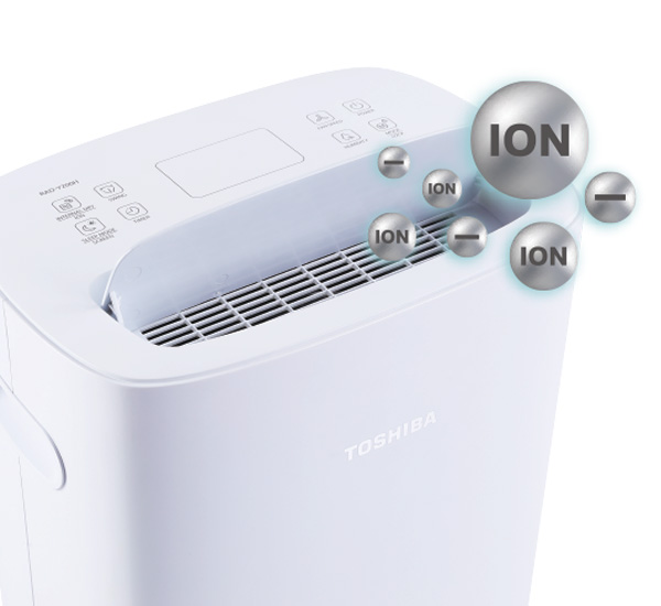 Ion Purification