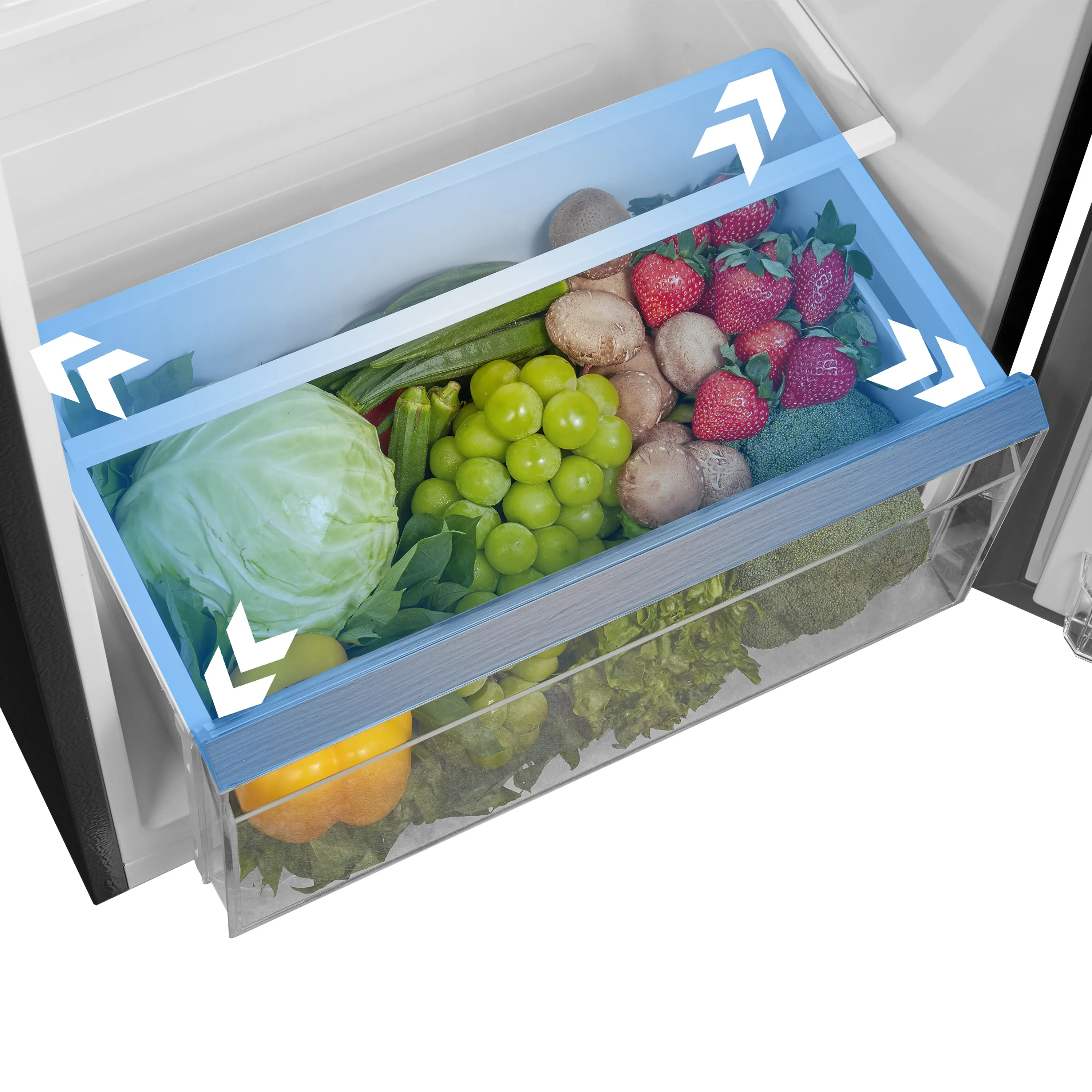 Toshiba-TMF-Series-Fruit-and-Vegetable-Drawer