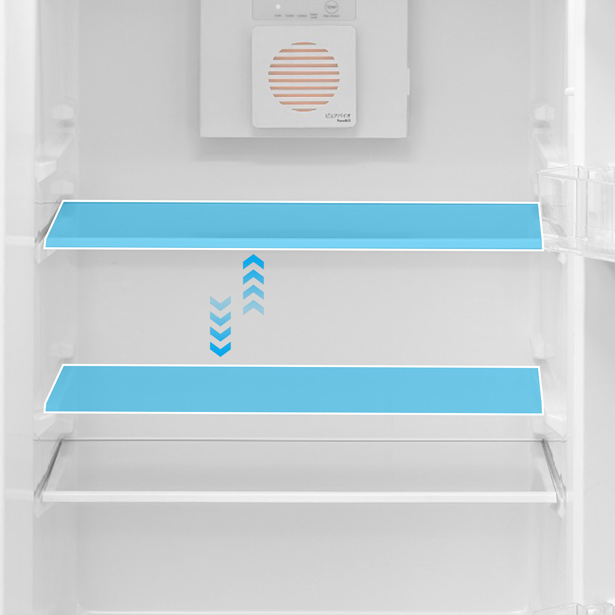 ADJUSTABLE SHELF