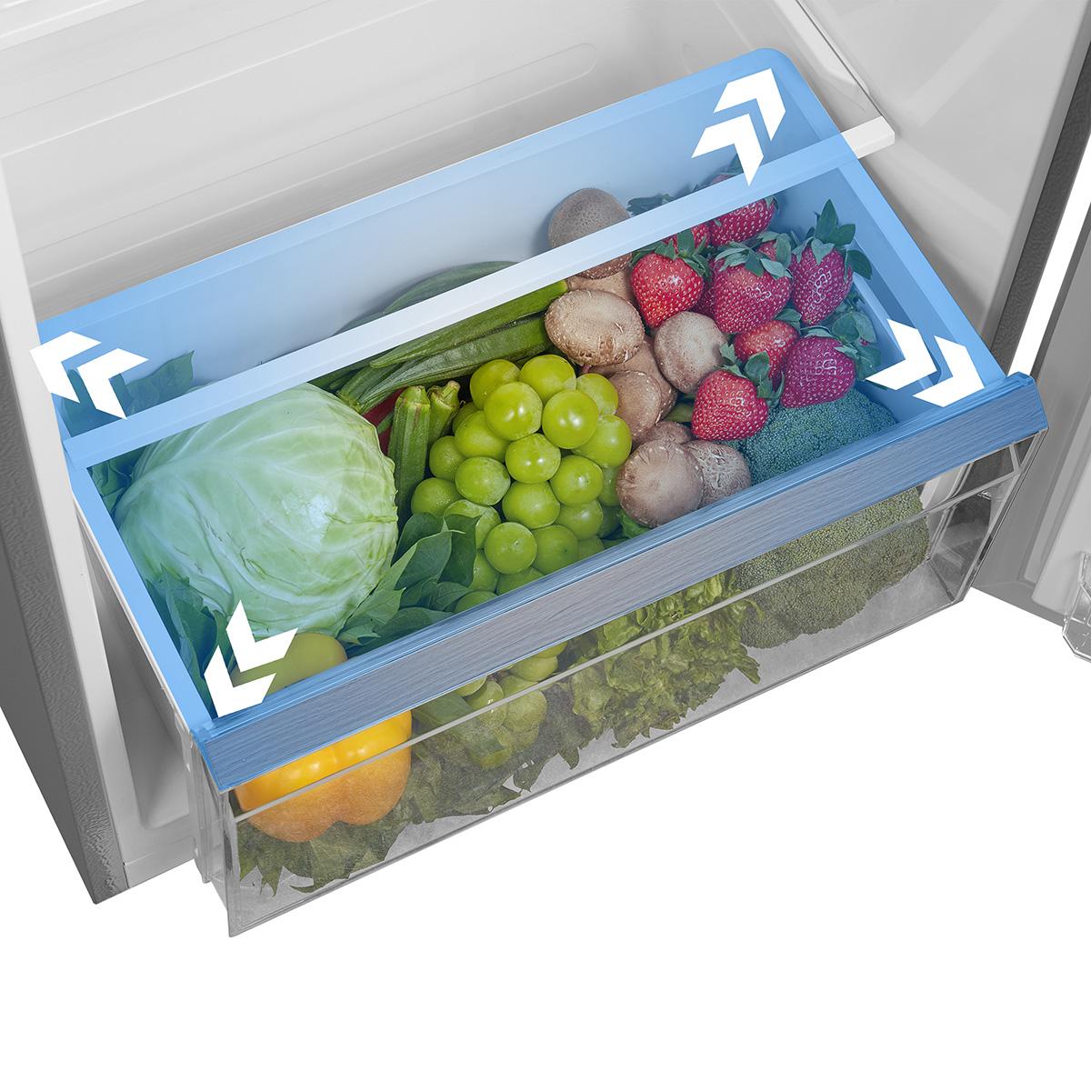 FRUIT & VEGETABLE DRAWER