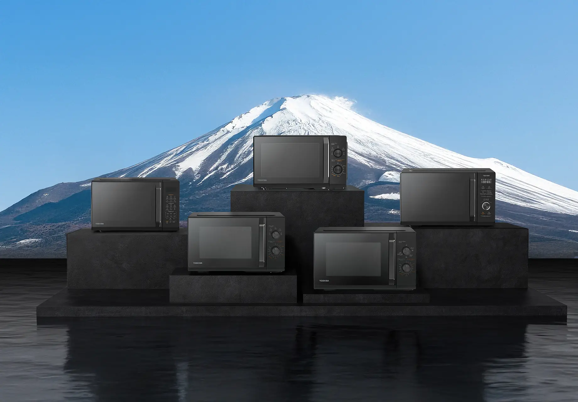 no1microwavebrand-1