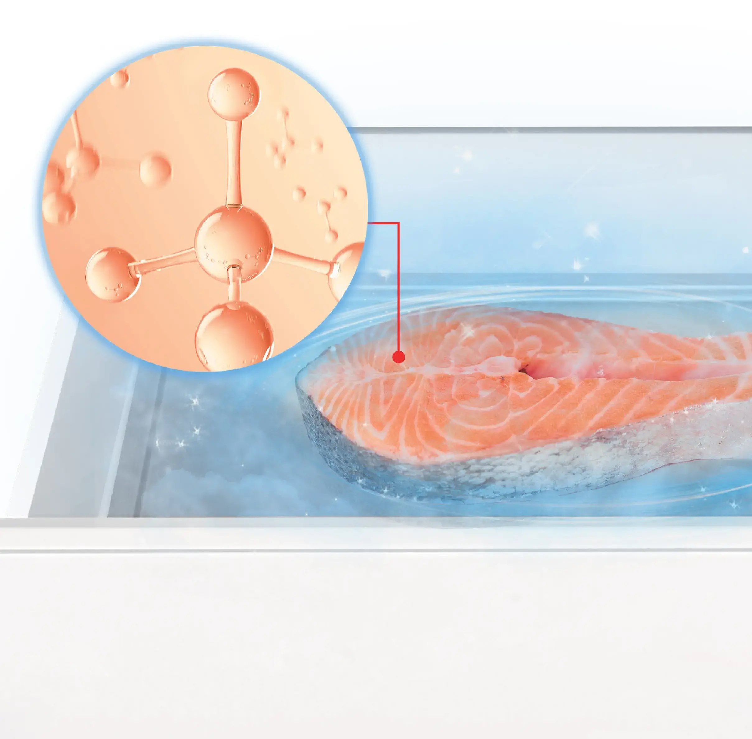 OriginFRESH™ Fish & Meat 