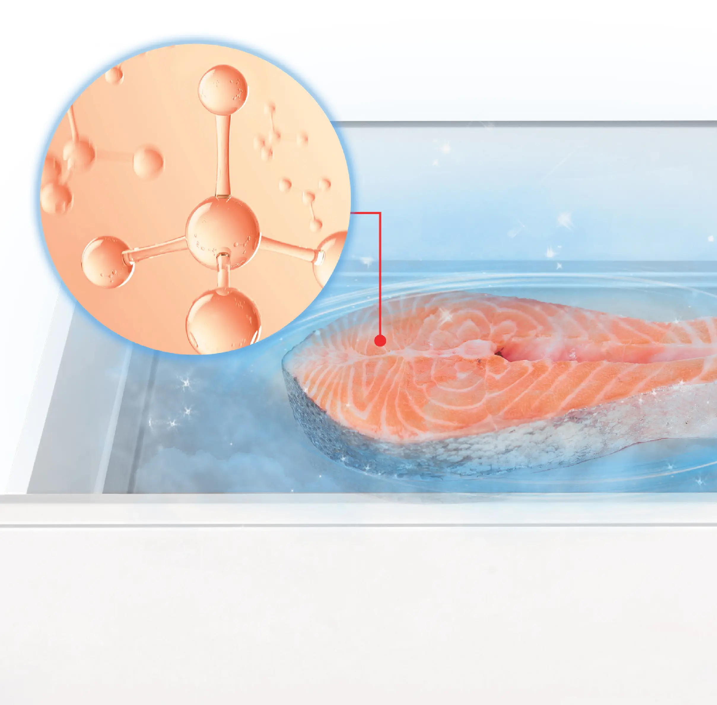 OriginFRESH™ Fish & Meat