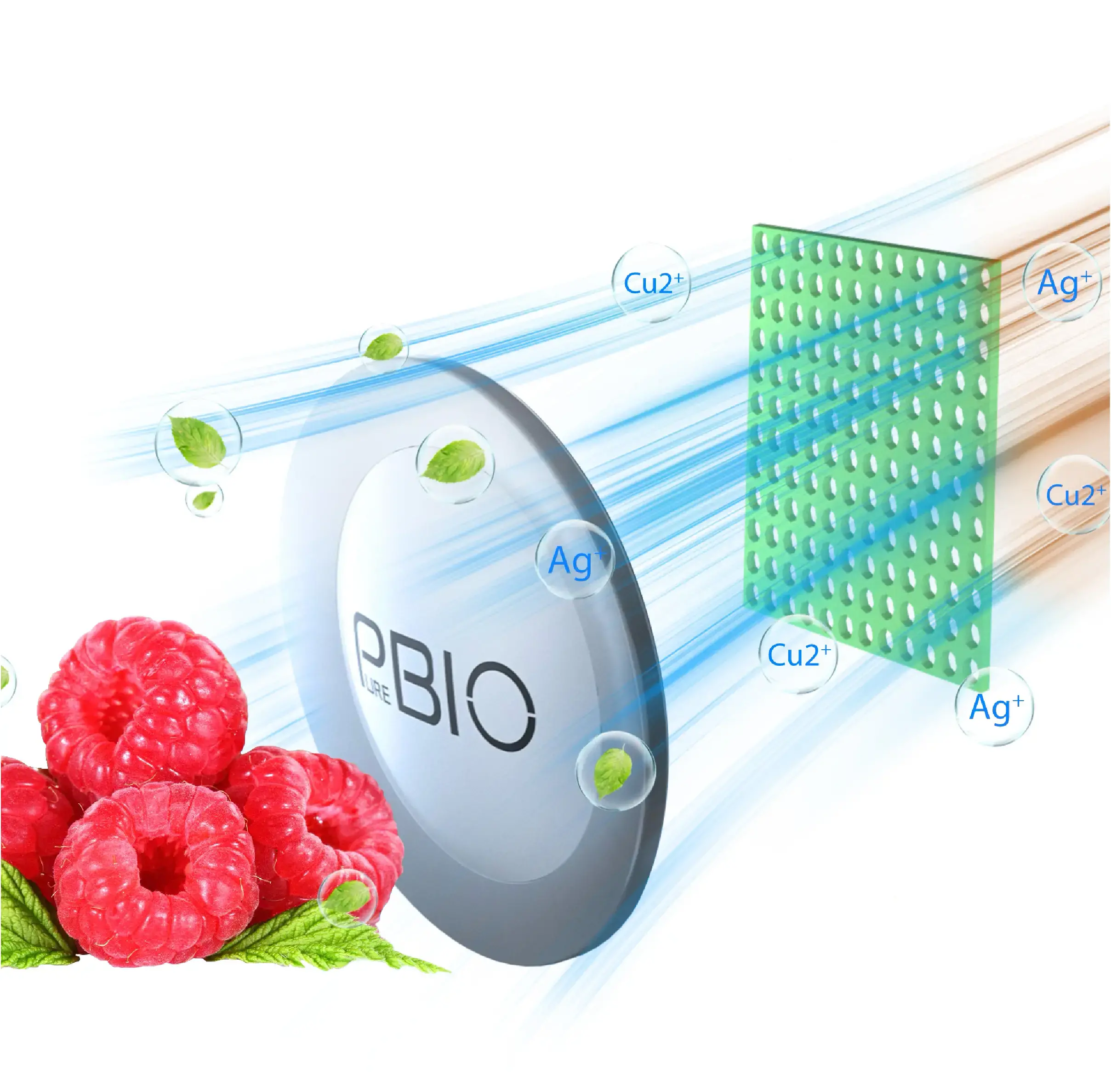 PureBIO