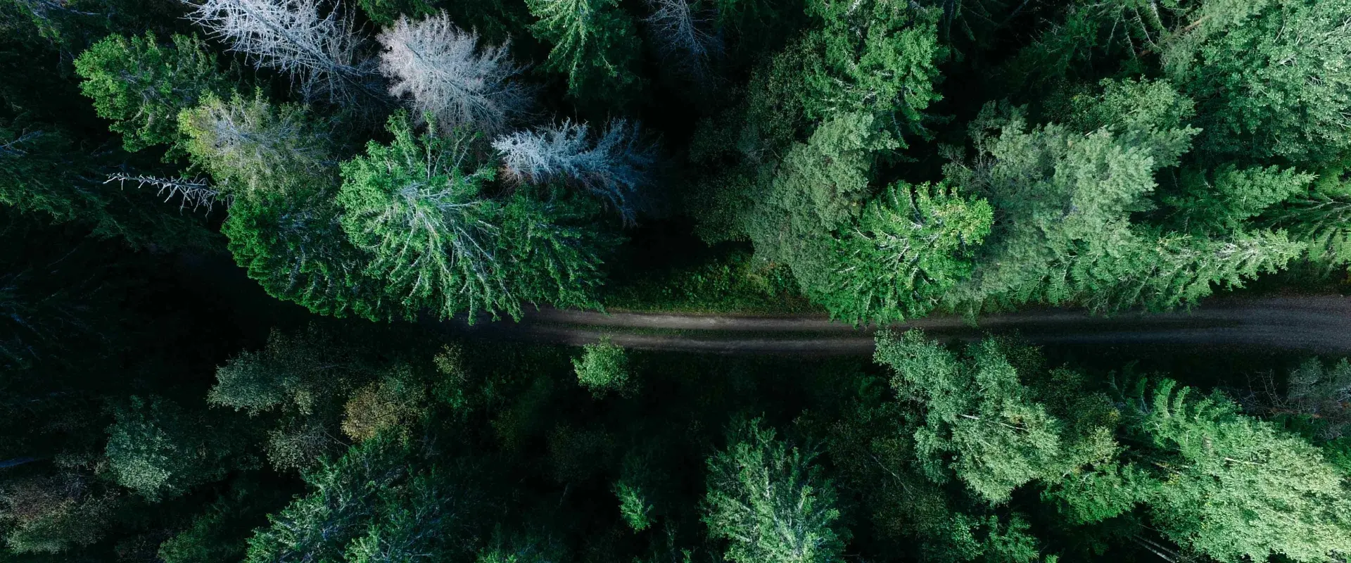 1-sustainability-banner-1920×800-pc-v1