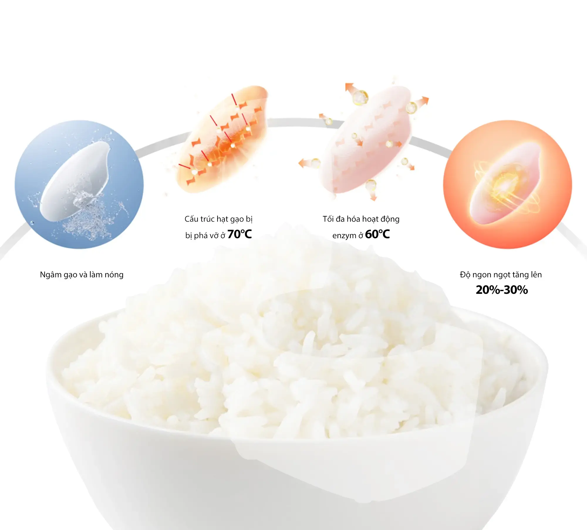 Công Nghệ Kích Hoạt Enzyme Umami Thơm Ngon Trọn Vị