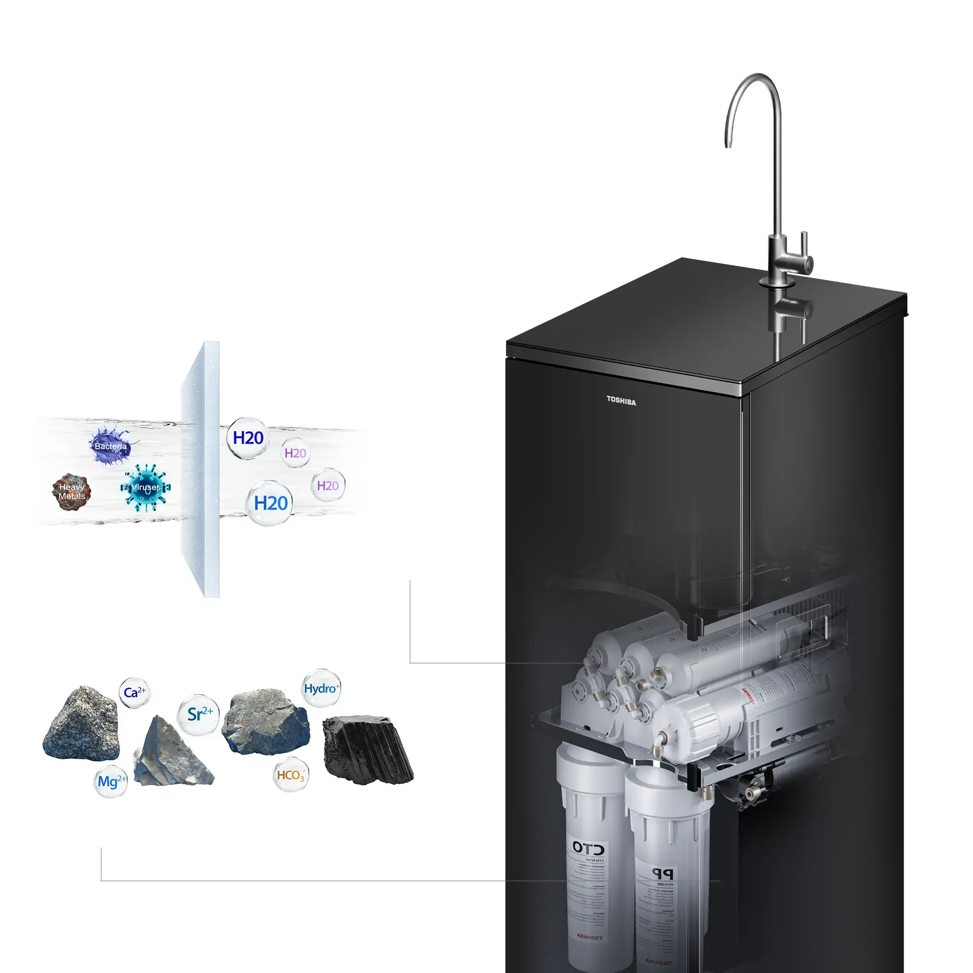 Bảo Vệ Sức Khỏe, Nâng Tầm Chuẩn Sống