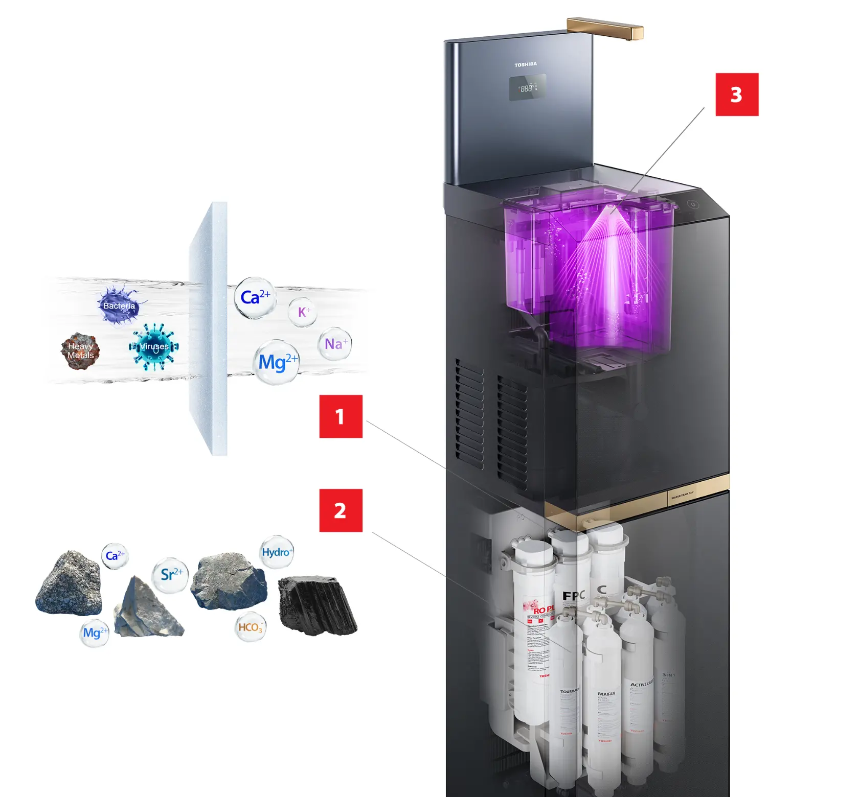  Bảo Vệ Sức Khỏe, Nâng Tầm Chuẩn Sống