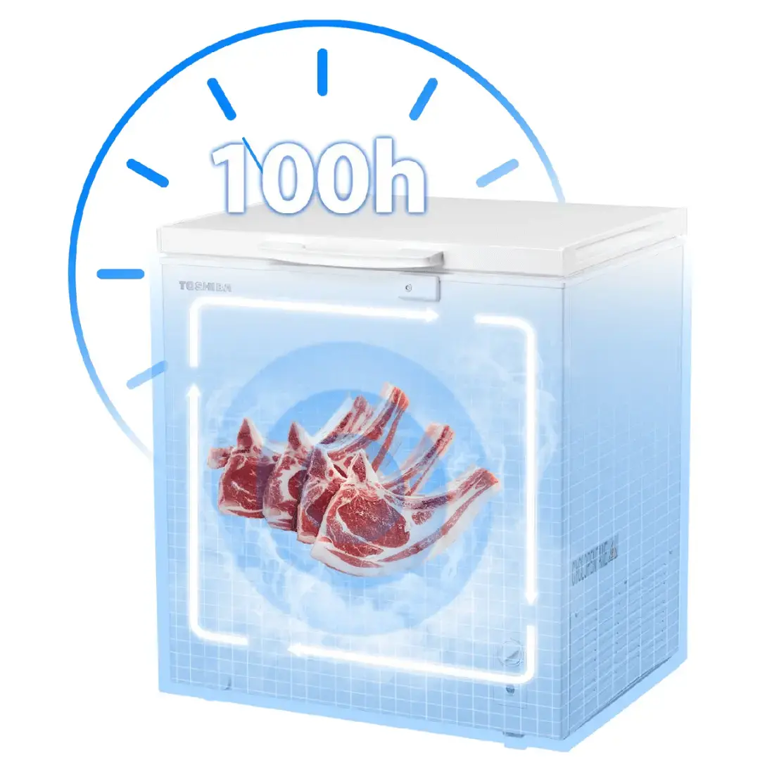 Giữ Đông Tươi Ngon 100h