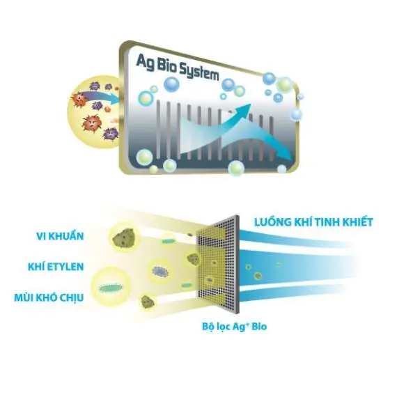Ag+ Bio - Khử Mùi & Diệt Khuẩn