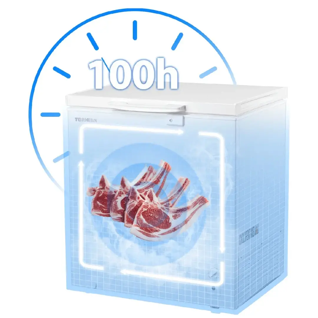 Giữ Đông Tươi Ngon 100h